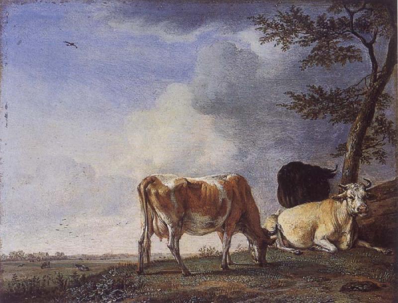 POTTER, Paulus Three Cows in a Pasture Spain oil painting art